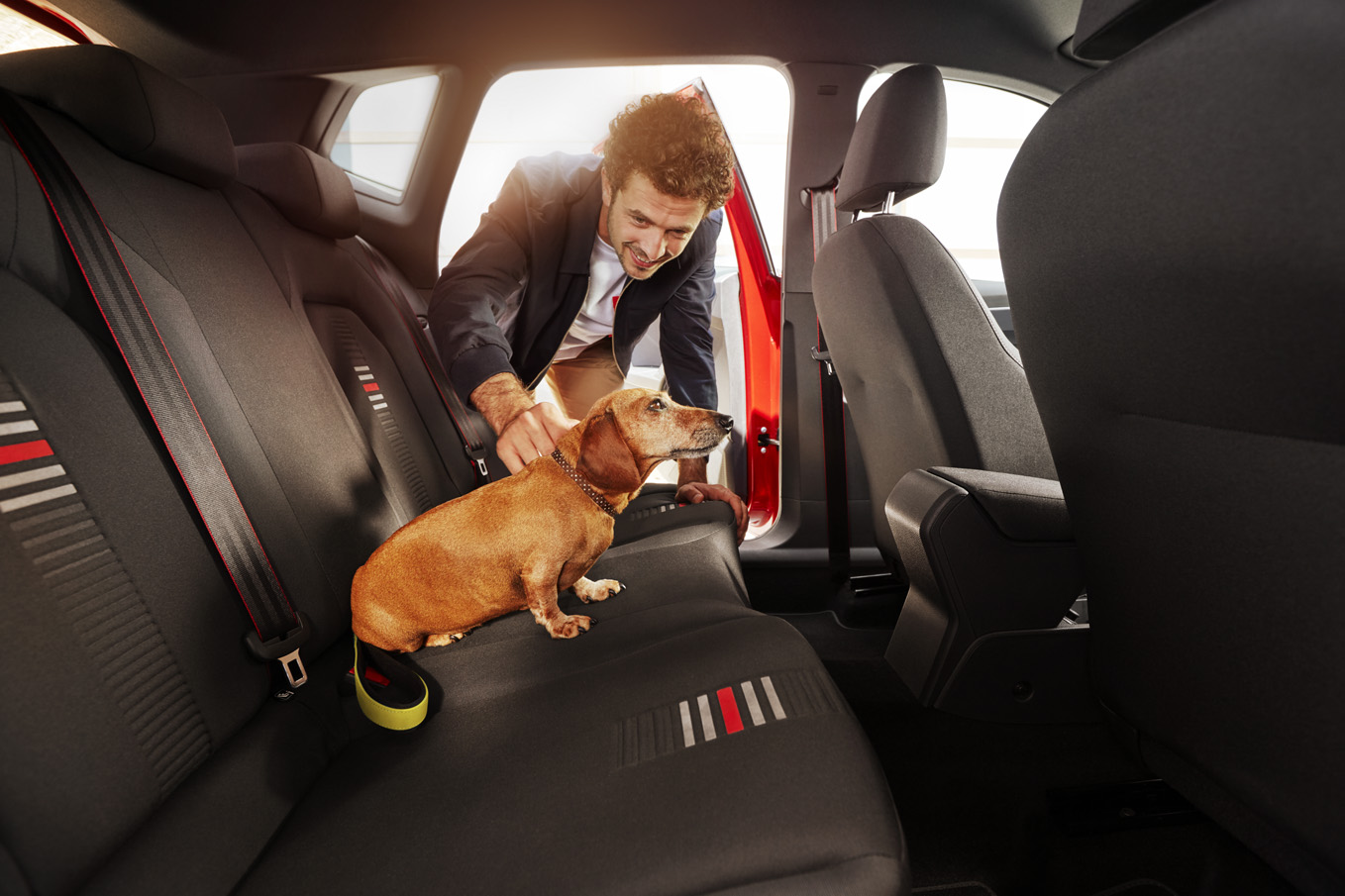 Pes v aute z nás robí opatrnejších šoférov