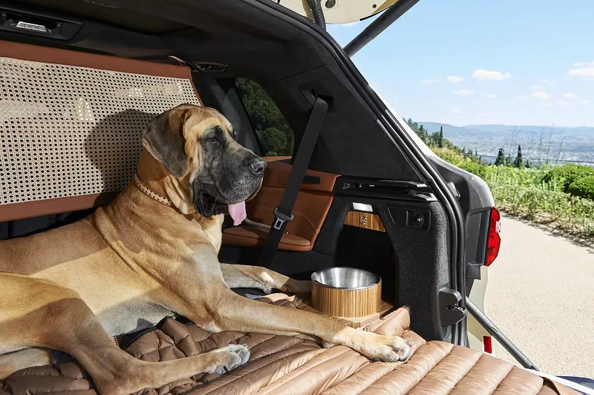 BMW prináša exkluzívnu výbavu pre cestovanie so psom