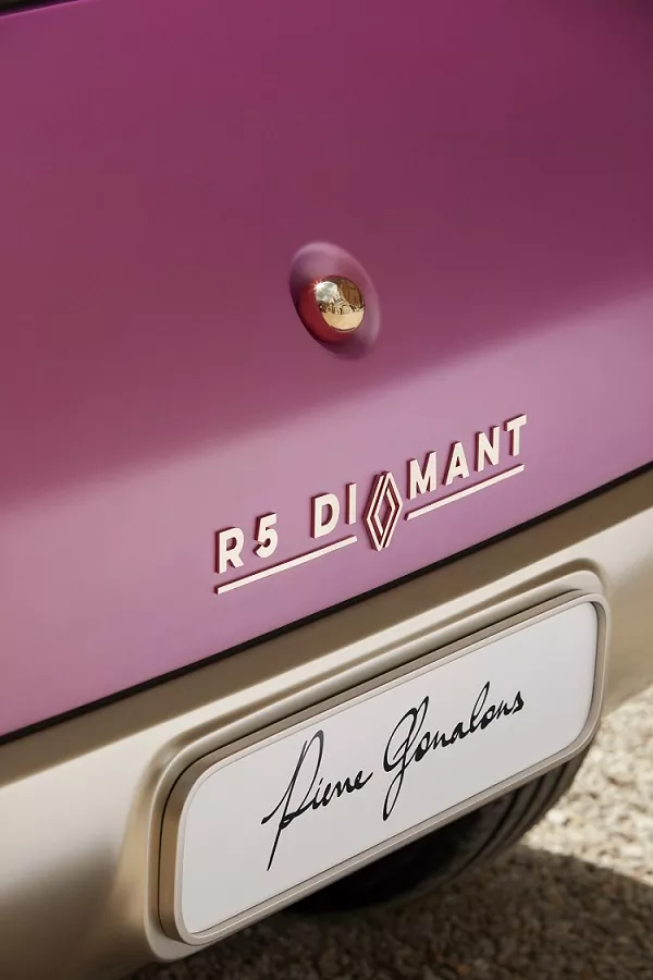 Renault 5 Diamant - Pierre Gonalons (3)